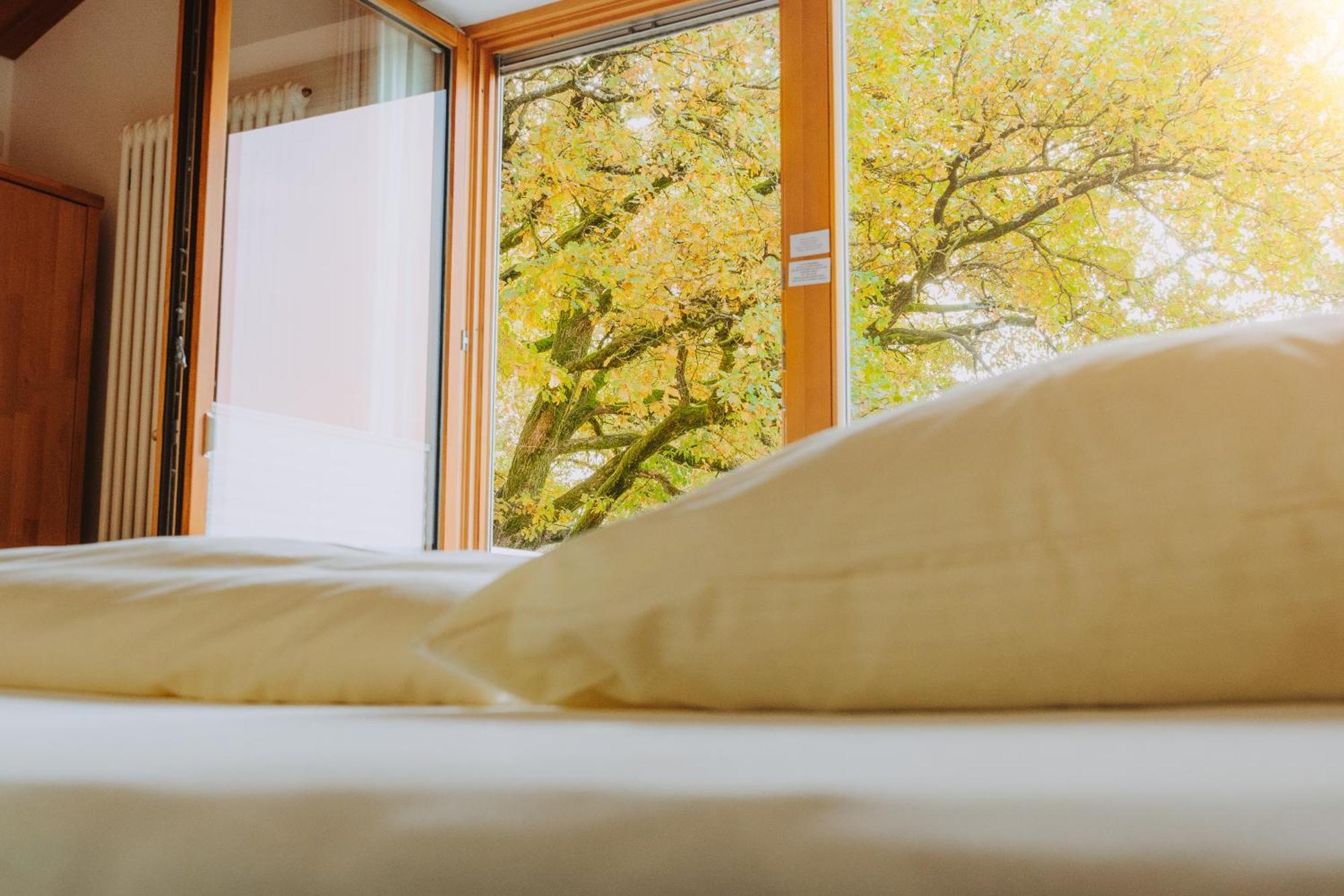Hotel Lindenhaus Zwiesel Zewnętrze zdjęcie